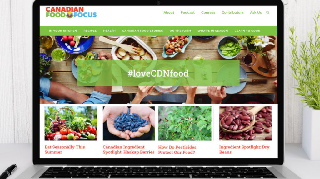 CFF-Website-AI-Search