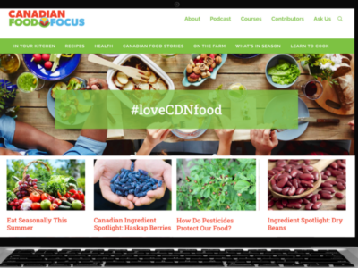 CFF-Website-AI-Search